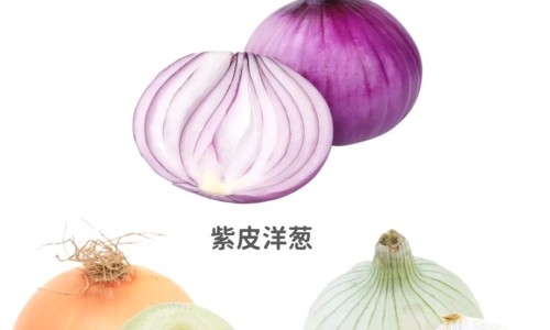 玉竹护肤功效-专业玉竹护肤功效是什么平台-玉竹护肤功效与作用
